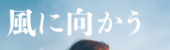 風に向かう花のように