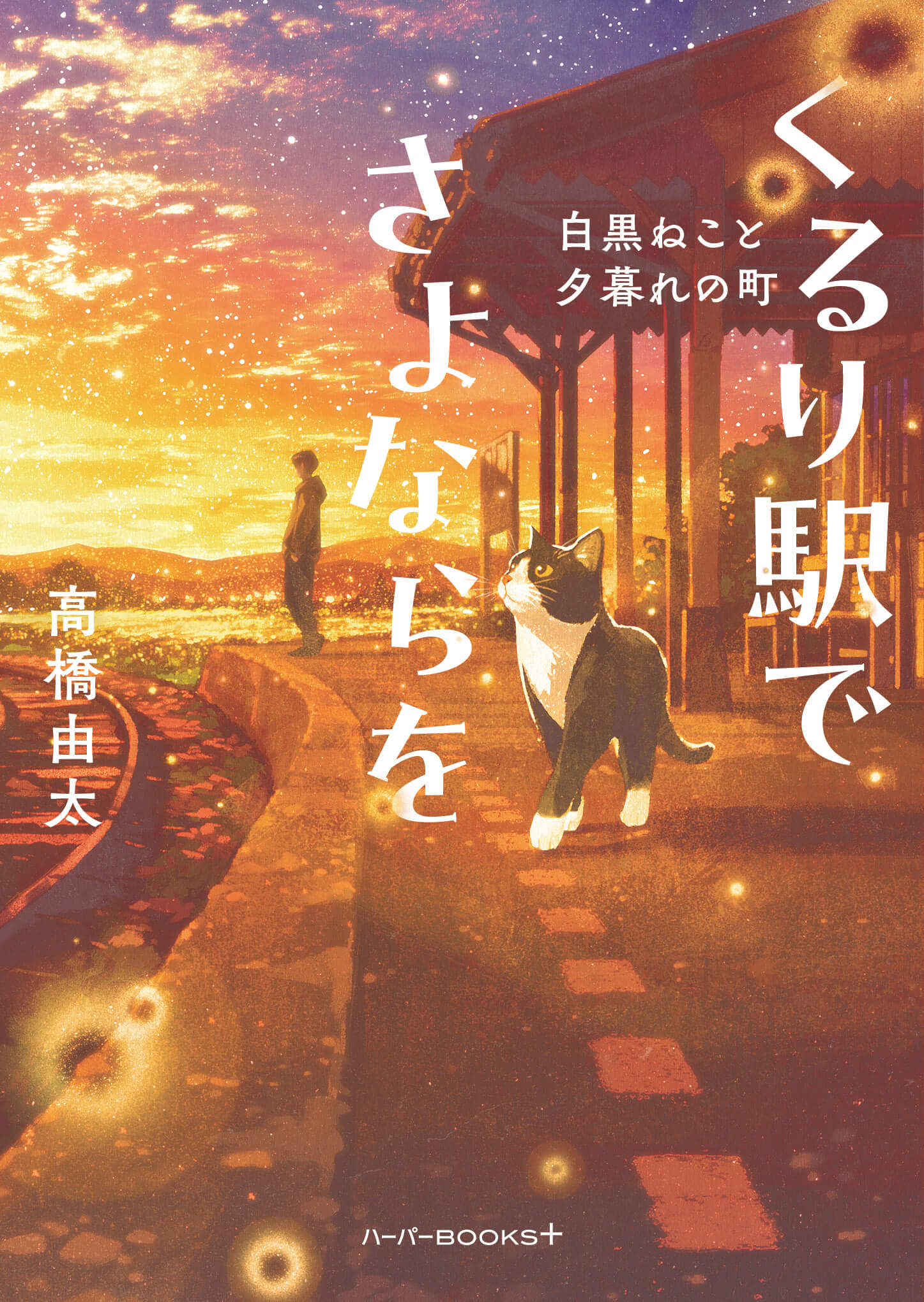 一般書籍