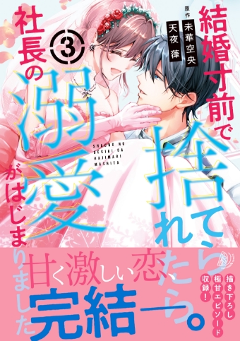 結婚寸前で捨てられたら社長の溺愛がはじまりました3 