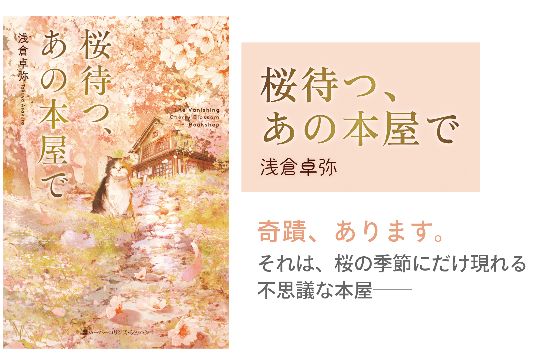 桜待つ、あの本屋で