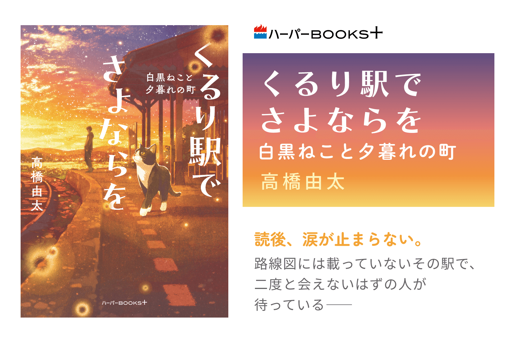 くるり駅でさよならを　白黒ねこと夕暮れの町