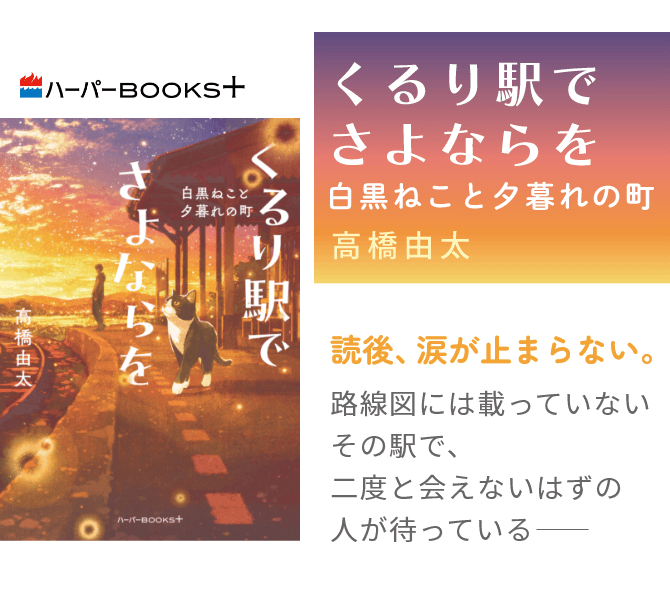 くるり駅でさよならを　白黒ねこと夕暮れの町