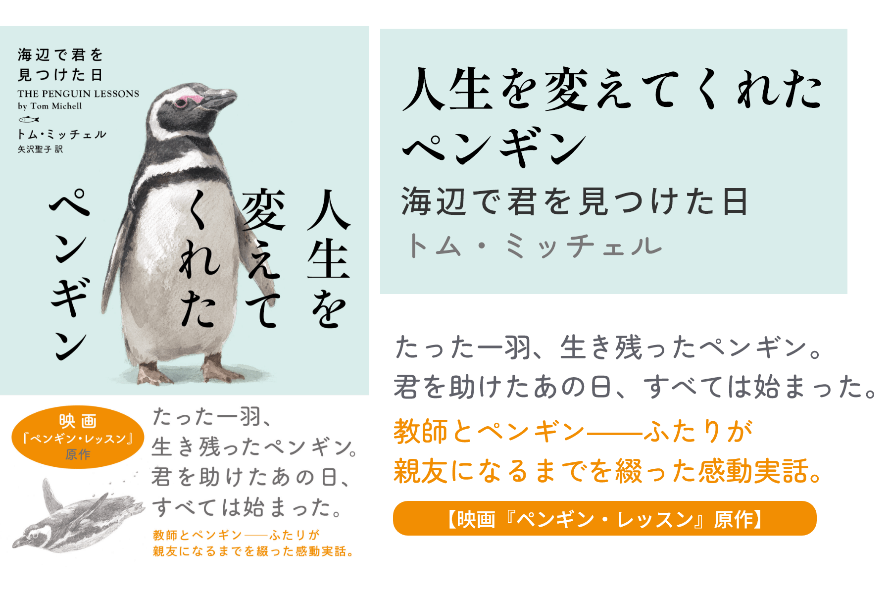 人生を変えてくれたペンギン 海辺で君を見つけた日