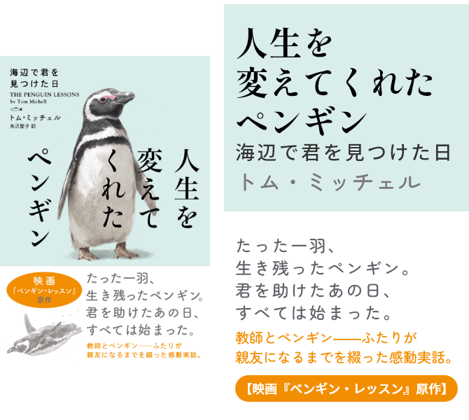 人生を変えてくれたペンギン 海辺で君を見つけた日
