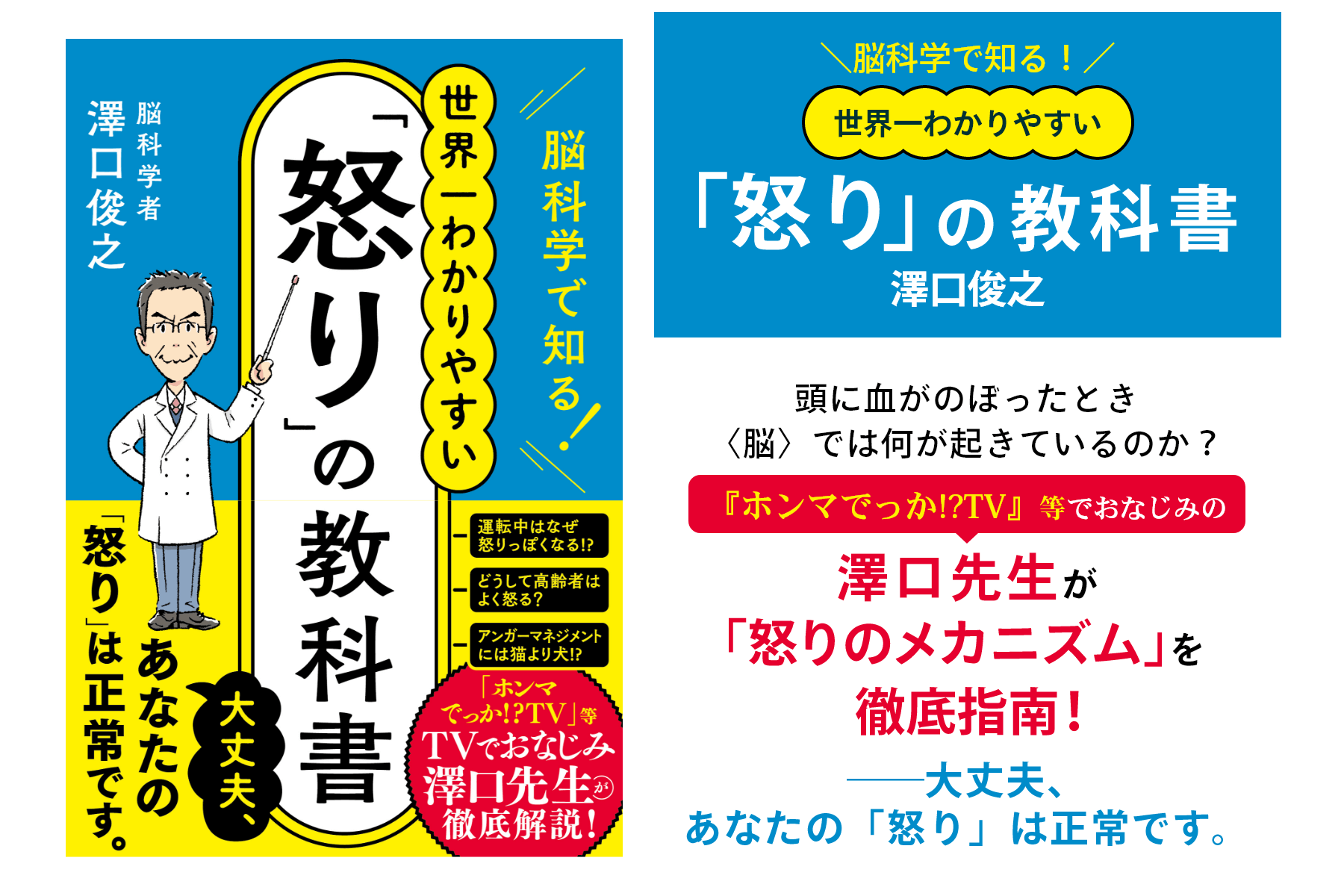 脳科学で知る! 世界一わかりやすい「怒り」の教科書