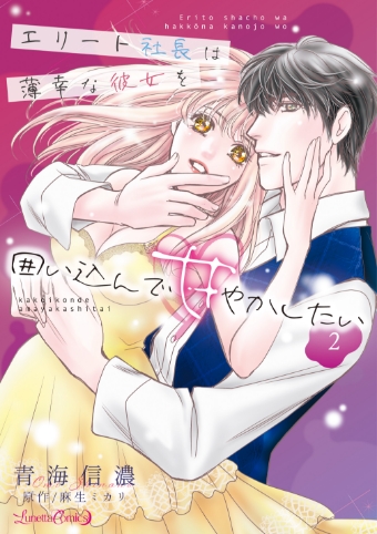エリート社長は薄幸な彼女を囲い込んで甘やかしたい 2 