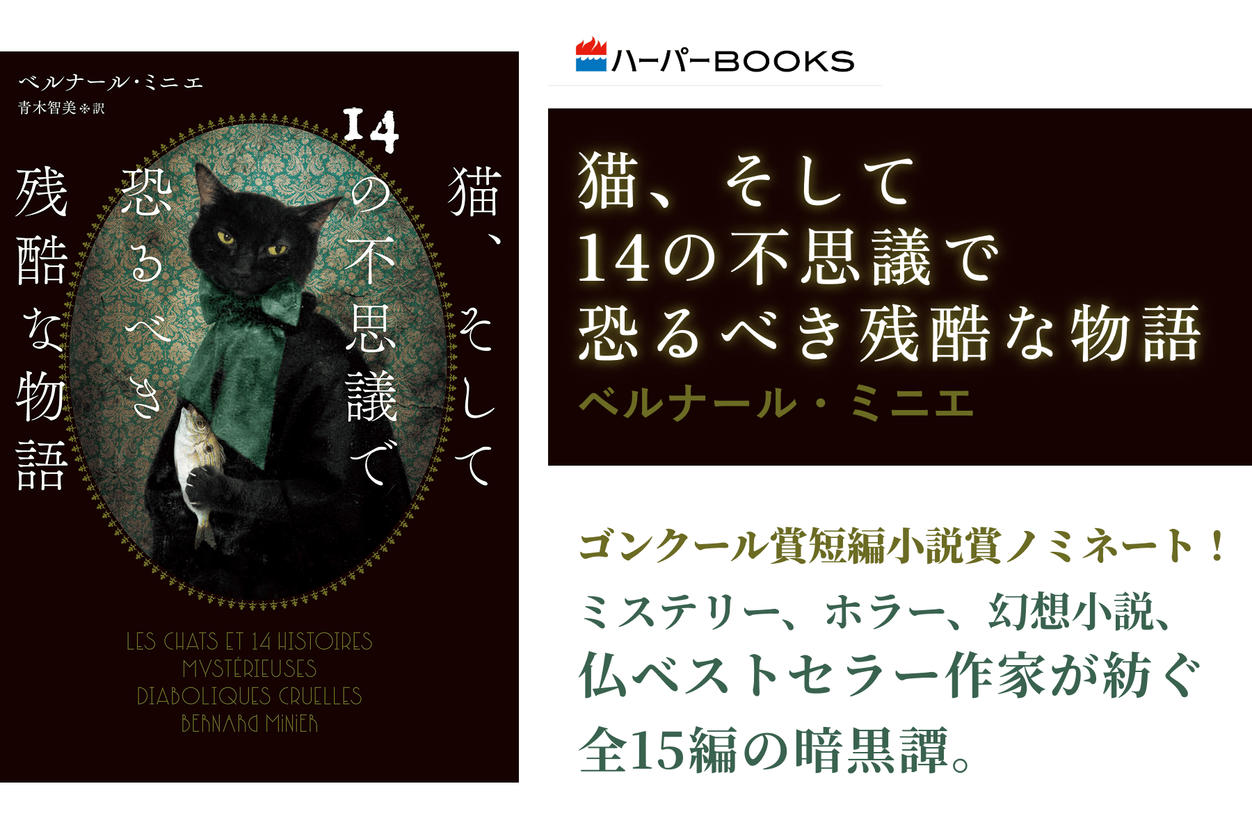 猫、そして14の不思議で恐るべき残酷な物語