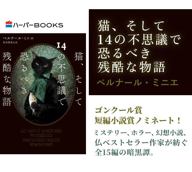 猫、そして14の不思議で恐るべき残酷な物語