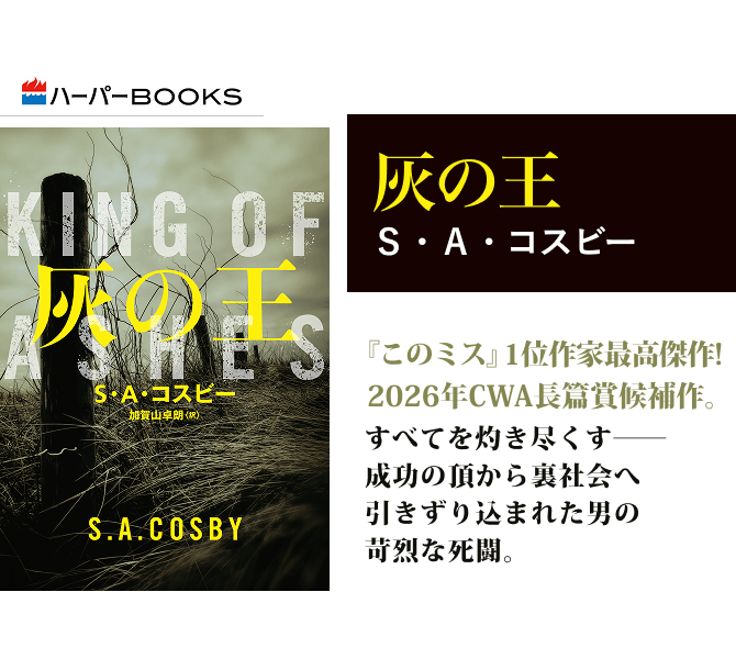 灰の王