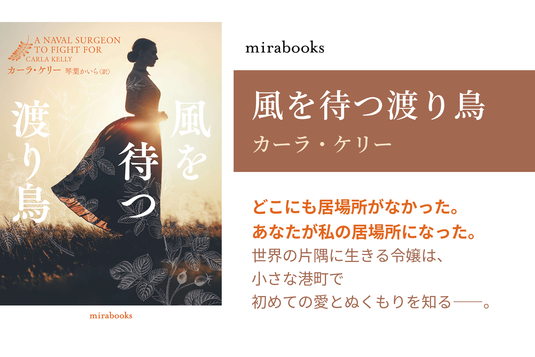 風を待つ渡り鳥